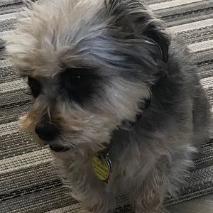 Meet your Posher, Linda